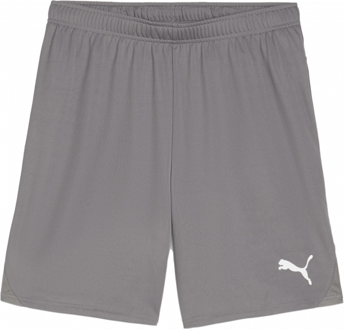 Puma - Teamgoal Shorts - Cast Iron & branco