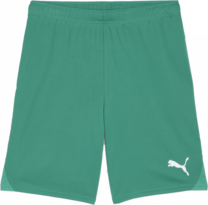 Puma - Teamgoal Shorts - Groen & wit